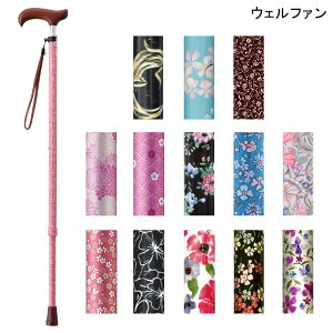 EFt@ ֗pStICtXebL XlbN LkX^Cv(13)(66`86cmA2cmsb`)(d250g)Lk LkXebLy|Cg10{z