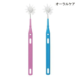 I[PA t郊[iuV(1{)(F͂Iђ܂)oPA  ݂ uV y|Cg10{z