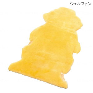   h~ pbh EFt@ i[VObO C(NR-1.5P)(65cm×130cm)yzy|Cg10{z