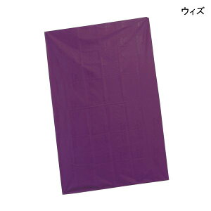 EBY gXt@[V[gtbg(STCY:94×142cm) XCfBOV[g ڏV[g ̈ʕϊT|[g ڏpi pi yzy|Cg10{z