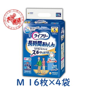 lpނ Ct[ Ԃ񂵂񃊃nrpc M Ic ς 16×4 5 j`[  ƖpyP[X̔z