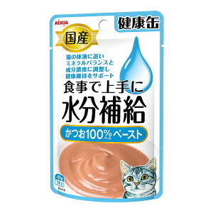 【あわせ買い2999円以上で送料お得】アイシア 健康缶パウチ 水分補給 かつおペースト 40g 猫用 国産