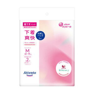 y킹2999~ȏőz剤 GG[ Aeg pc u GKgsNׁ[W M 2 pbN