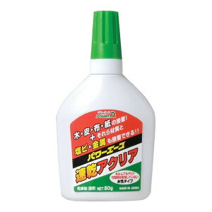 y킹2999~ȏőzAeR p[G[Y pr  ڒ A01  ANA 60g
