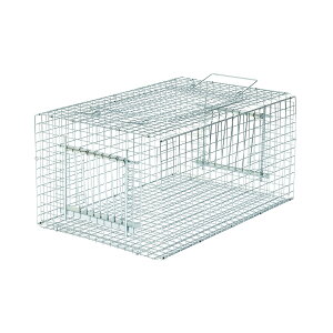 �y���������E�܂Ƃߔ���×1�Z�b�g�z�h�q���Y type E-01 �o�[�h�g���b�vRF