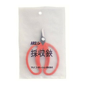 y킹2999~ȏőzAX ̎nT~430 |ܓ