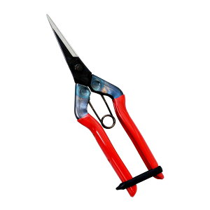 yE܂Ƃߔ×11Zbgzߐ `J}T ؃nT~ T-550 |pi