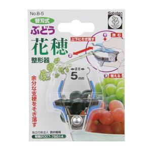 yE܂Ƃߔ×13ZbgzT{e Ԃǂ ԕ ` B-5