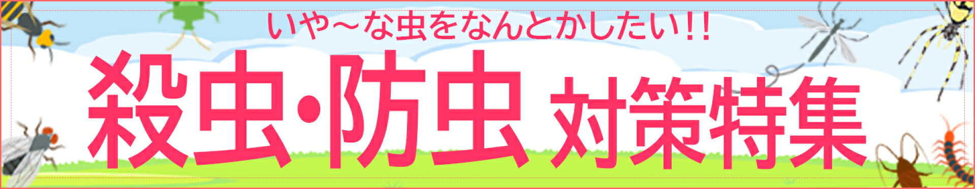 特集
