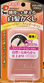 楽天市場 ヘアカバー ファンデーションの通販 楽天市場 ヘアカバー ファンデーションの通販