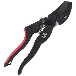 g GFZnT~ WObv} SGFP-6