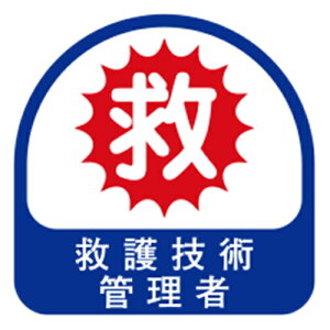 y킹2999~ȏőzTOYO wbgpV[ NO.68-019 2