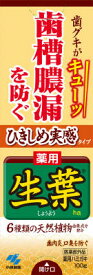 【あわせ買い2999円以上で送料お得】小林製薬　ひきしめ生葉 100g 【4987072072752】