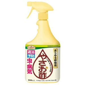 yll1zA[X ₳| 1000ml EEۍ (4901080242112)