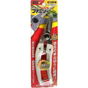 �y���킹����2999�~�ȏ�ő��������z�t�@�~���[ �f���b�N�X 140DX(1�{��)