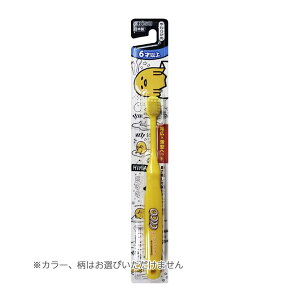 y킹2999~ȏőzGrX qł nuV wp 6ˈȏ 炩