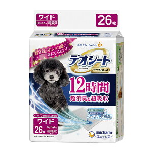 yll1zjE`[ybg fIV[g PREMIUM 12 L & z Ch 26