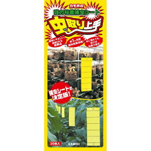 y킹2999~ȏőzJ  F 20