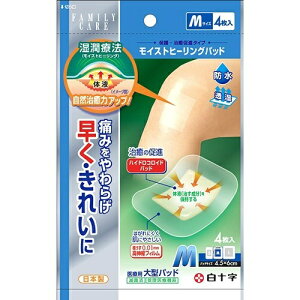 y킹2999~ȏőz\ t@~[PA CXgq[Opbh MTCY 1pbN(4)