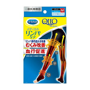 y킹2999~ȏőzLbgxL[U[ fBLbg fBJ pPA Xpbc ubN M ʈË@