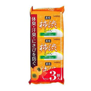 【送料お得・まとめ買い×9個セット】クロバーコーポレーション CJ 薬用 柿渋石けん 100g×3個入