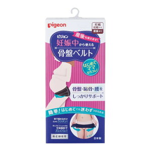 y킹2999~ȏőzsW DPg鍜Ճxg YPA LTCY