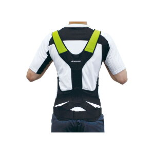 y킹2999~ȏőz_CH DARWING SATT _[EBTbg 000-0942 L