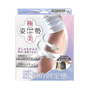 yE܂Ƃߔ×13Zbgz ɔp ݂ MTCY ԎT|[^[ jp