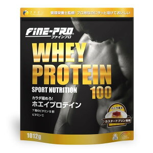 �y���킹����2999�~�ȏ�ő��������z�t�@�C�� �t�@�C���v�� �z�G�C�v���e�C�� 100 �J�X�^�[�h�v�������� 1012g
