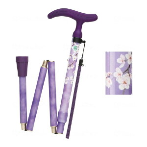 yE܂Ƃߔ×2ZbgztWz[ ANeBu O[X ܏ S p[v