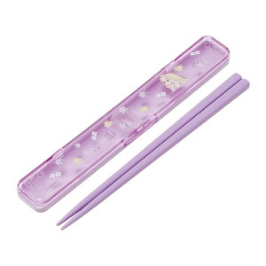 【送料お得・まとめ買い×11個セット】スケーター sketer 抗菌 音の鳴らない箸箱セット ラプンツェルフラワー おはしセット