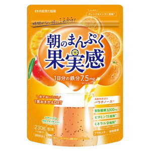 【送料お得・まとめ買い×2個セット】井藤漢方製薬 短期スタイル 朝のまんぷく果実感 オレンジ & マンゴー風味 粉末 230g