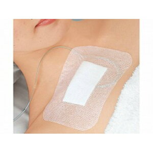 y킹2999~ȏőzAPA VL[|A@hbVOi20j4