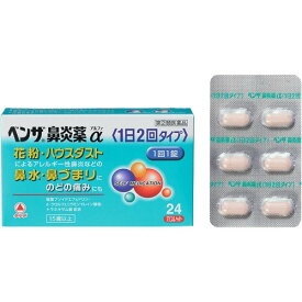 楽天市場 ベンザ鼻炎 錠の通販
