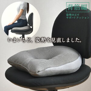 NbV w p𐳂 T|[gNbV 37×40cm Kx ̉@搶ďC p K Sy zȍp E^tH[ Lw P X ̈U ܂