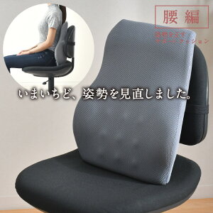 NbV  p𐳂 T|[gNbV 46×38cm Kx ̉@搶ďC p tBbg Sy zȍp E^tH[  Lw P ̈U ܂