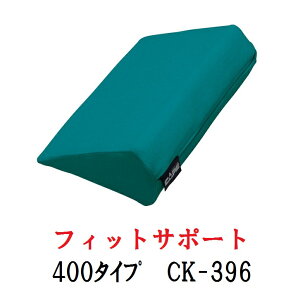 yP[vz tBbgT|[g@400^Cv / CK-396 161-P0115