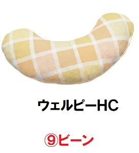 y^CJz@EFs[HC / PC-HC-B3@r[ (̈ʕێ/ϊ/̈U//|WVjO/s/ʋC/)@161-P0270