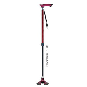 PCEzXsA@@yX}@X[x[X@lCr[/ubN/bh@_@XebL@yʁ@3ʐS