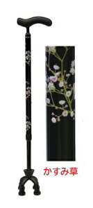 y쏊z J[{l_X[^Cv J[{O[ / ݑ  XebL 4_ _ ې hV̓ a v[g