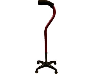 }OlVEl_ Neo lI@WB5324@o[KfB@tWz[@EΉ@_ lr y