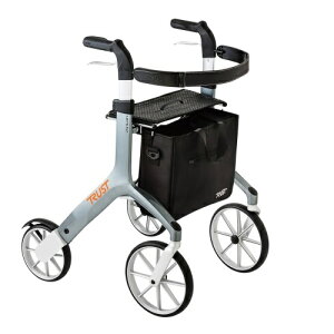 y|Ձz sԁ@bctC@118100@O[@hV̓ a v[g@[J[i