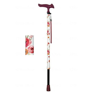 tWz[@邪t@2@Lk / WB5217@ԕzCg