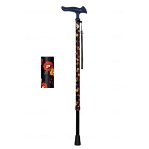 tWz[@邪t@2@Lk / WB5218@ԕlCr[