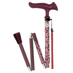 邪t@2@܏ / WB5220@[tC