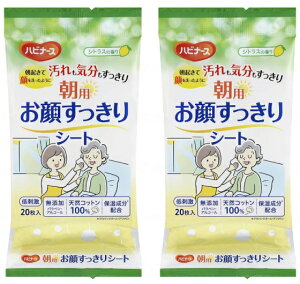 p炷V[g@1039972@20×2܃Zbg@VgX̍@sW@[jOPA@[ց@ێz VRRbg100