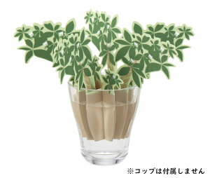 �ǂ��ł����C�X�`���[�@�G�������c�@1�_�@���[���֔����@�� �`���[���b�v �p�L�� �d�����炸�̃G�R������ �ȒP ������ꂽ��ɓ���邾��