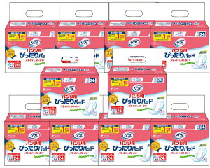 1P[X܂Ƃߔ uhDR[|[V pcp҂pbh 24×10ܓ zʖڈ180cc 15652 lpނ pނ ނ pi AƂ Apbh