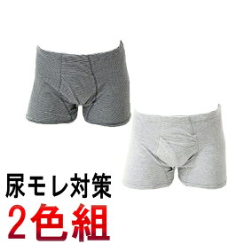 送料無料 2枚セット 尿漏れ パンツ メンズ お洒落 ボーダー柄 男性用 失禁パンツ【 紳士100cc 】日本製 介護パンツ 尿漏れ【33019ボーダー柄 2色組み】失禁対策パッド付きパンツ 抗菌防臭 におわない テイジン ウエストゴムが当たらない安心 おしゃれ 春夏秋冬