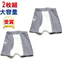 最強翌日配送 失禁パンツ 男性用 2枚セット 100cc 尿漏れパンツ 日本製 介護パンツ 下着 33015 尿もれ パッド付き テ…